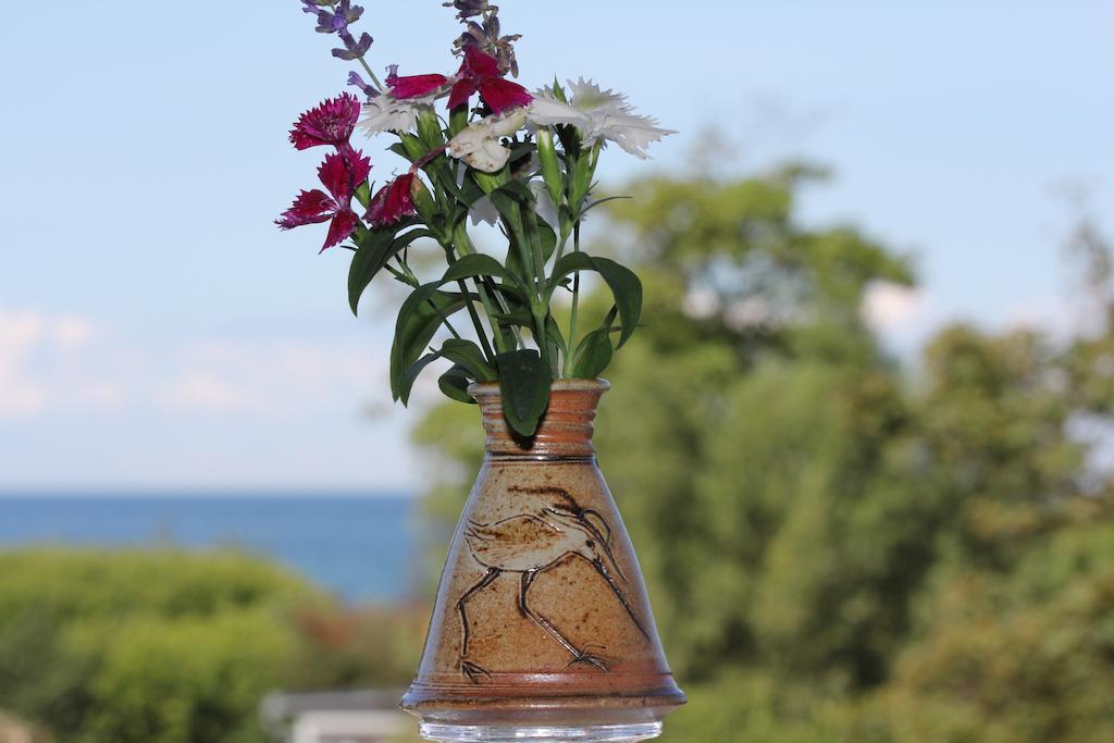 Hotel Zum Strandlaufer Ahrenshoop Rum bild