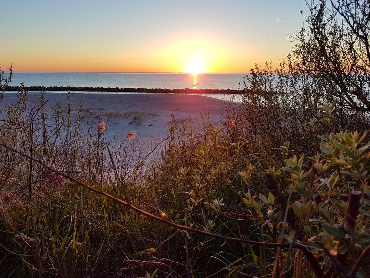 Hotel Zum Strandlaufer Ahrenshoop Exteriör bild